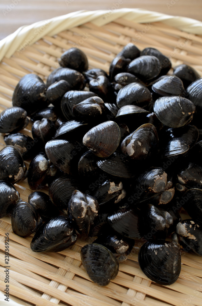 Obraz premium しじみ