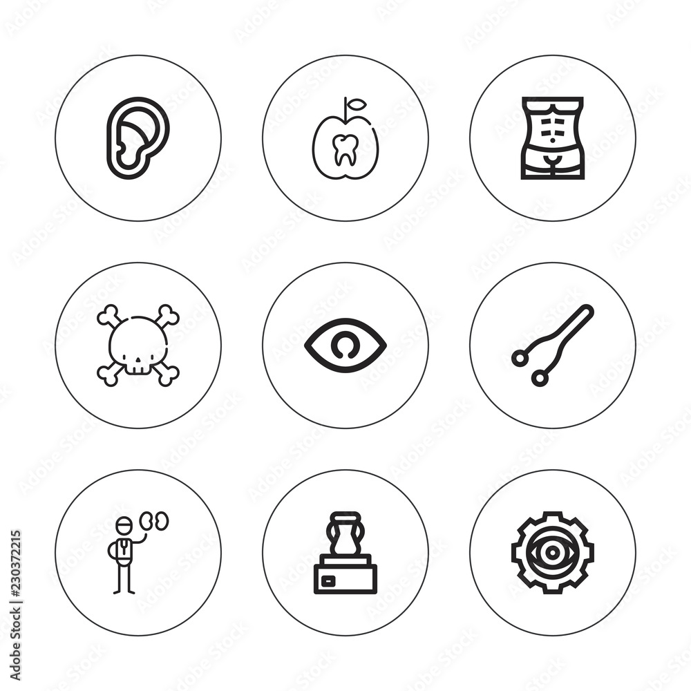 Collection of 9 outline anatomy icons Collection of 9 outline anatomy icons