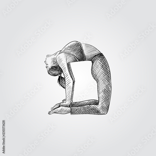 Hand drawn woman practicing yoga, stretching in Ustrasana exercise. Vector illustration of yoga pose in sketch style isolated on white background. 