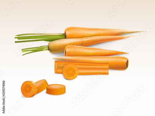 Vector realistic illustration of orange carrot, whole and sliced pieces isolated on background. Sweet vegetable rich in vitamins for cooking and eating, natural organic food for vegetarians