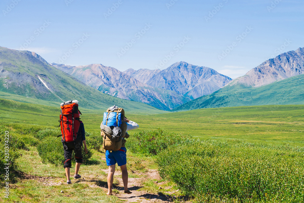 Travelers with large backpacks go on footpath in green valley to wonderful giant mountains with snow. Hiking in highlands. Amazing vivid mountain landscape of majestic nature. People climb on high.