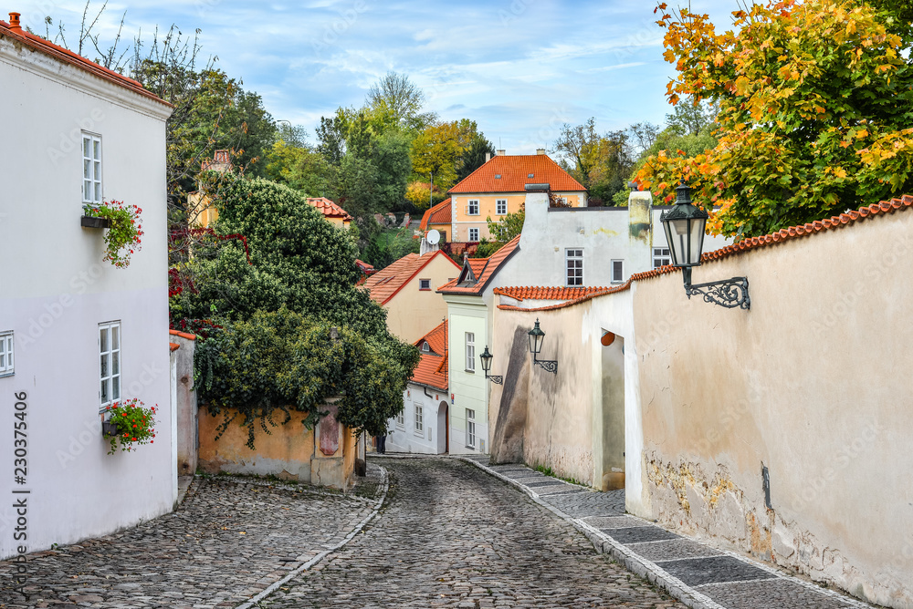 Old buildings and paved road in Prague city center