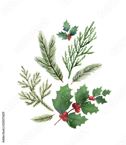 Christmas vector composition with green fir branches isolated on white background.