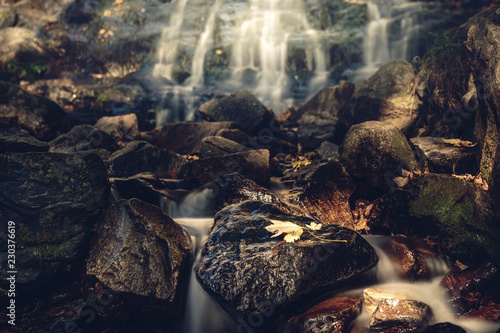 Wasserfall und Ahornblatt