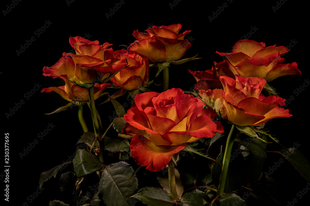 Rosenstrauß Rosenstrauß