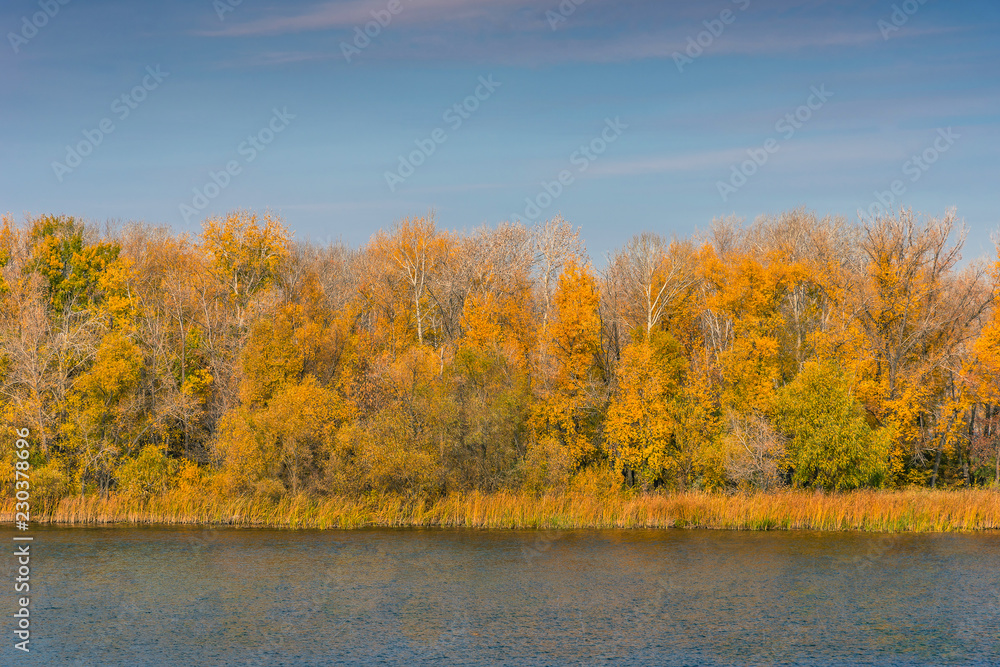 Autumn landscape - coastline with trees with yellow leaves and evening sky