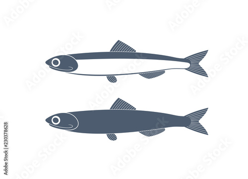 Anchovy logo. Isolated anchovy on white background