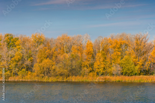 Autumn landscape - coastline with trees with yellow leaves and evening sky