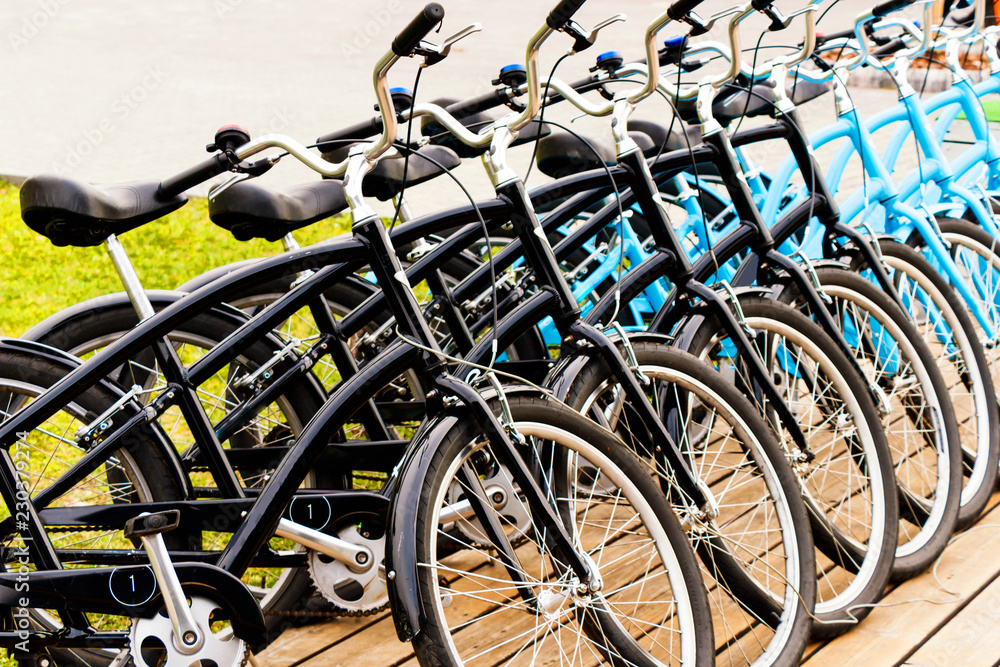 rows of bicycle wheels, bike rental