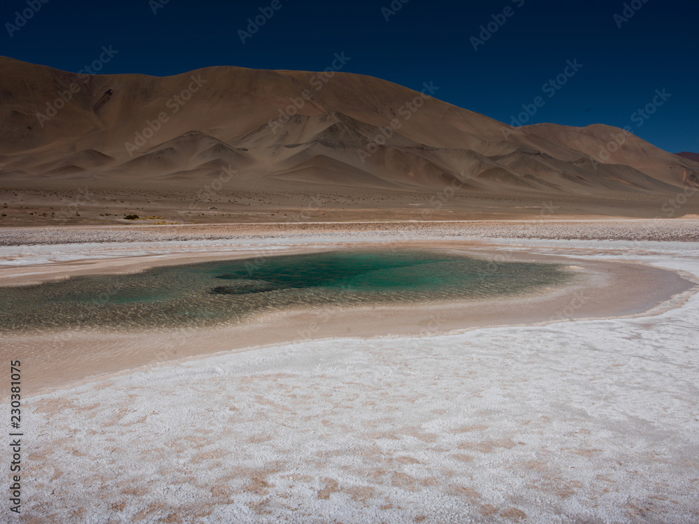 Tolar Grande Salta, Argentina South America