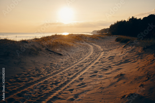 Outdoor summertime portrait of tyre tracks on sandy beach with pinkish sky, sea and trees in background. Deserted beach with four drive vehicle tire tracks. Nature, vacations, seaside and travel