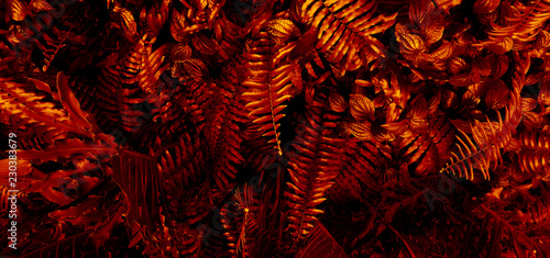 Tropical red leaf background.