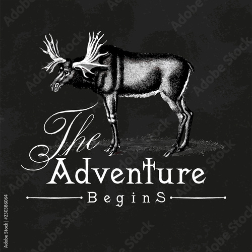 The adventure begins logo design vector