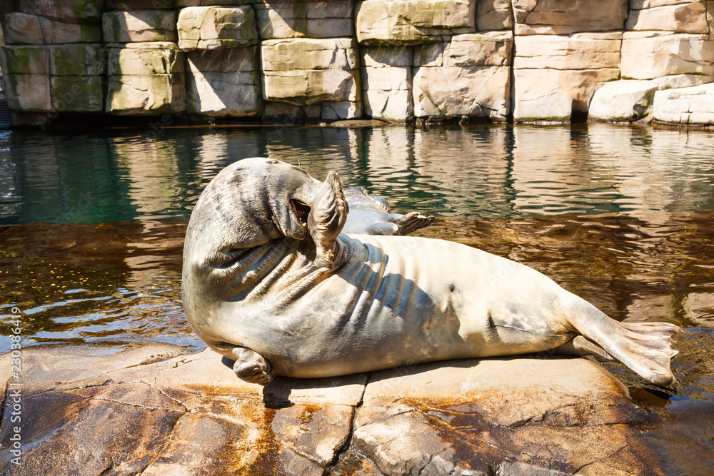 Fototapeta premium Uszczelki