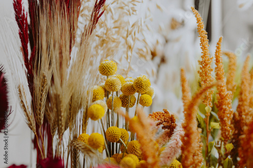 Closeup of various dried yellow flowers