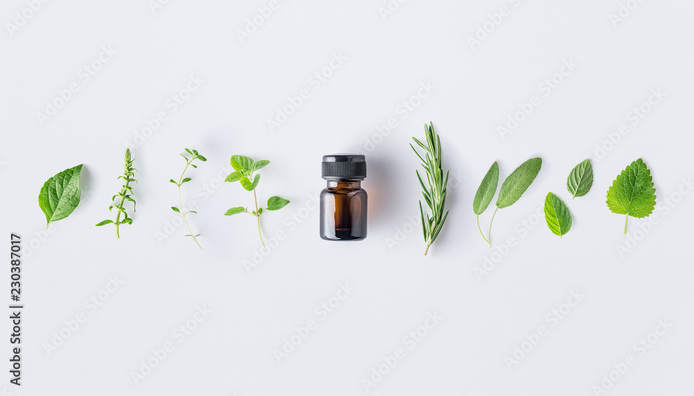Bottle of essential oil with fresh herbs and spices basil, sage, rosemary, oregano, thyme, lemon balm  and peppermint setup with flat lay on white background - obrazy, fototapety, plakaty 