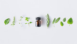 Bottle of essential oil with fresh herbs and spices basil, sage, rosemary, oregano, thyme, lemon balm and peppermint setup with flat lay on white background