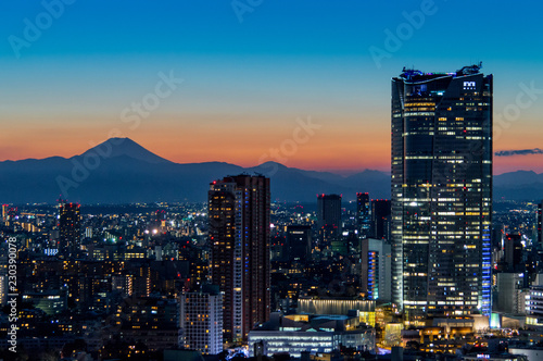scenic sunset in tokyo taken from shinjuku © rob70