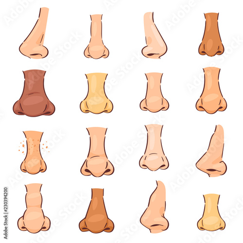 Nose vector human face part nosey breathing smell illustration set of anatomy man or woman breathe nosed organ isolated on white background