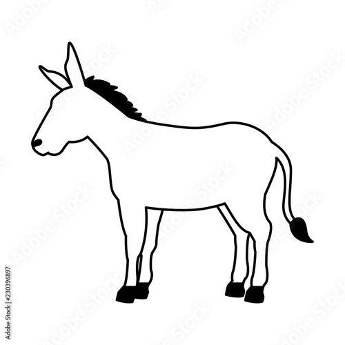 donkey cartoon animal wild life