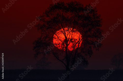 SUNRISE - Autumnal fiery morning on the fields