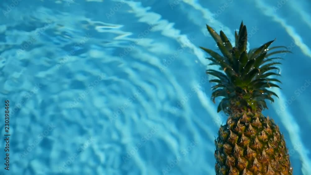 Pineapple Floating In blue Water In Swimming Pool. Healthy Raw Organic Food. Juicy Fruit. Vegetarian, Vegan Nutrition, Vitamins, Diet, summer holidays, vacation concepts. Exotic tropical background Pineapple Floating In blue Water In Swimming Pool. Healthy Raw Organic Food. Juicy Fruit. Vegetarian, Vegan Nutrition, Vitamins, Diet, summer holidays, vacation concepts. Exotic tropical background