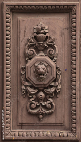 Lion depicted in the wooden relief