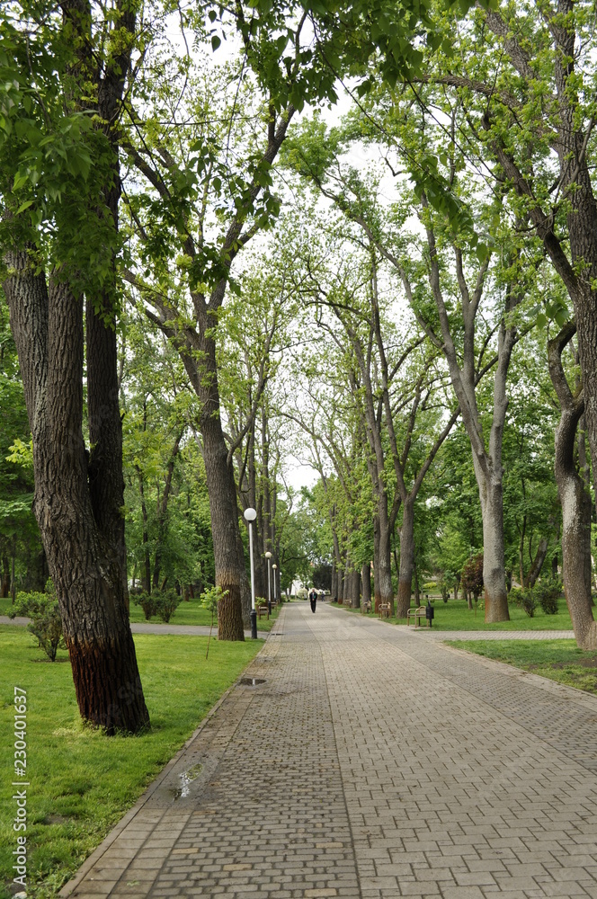 A park