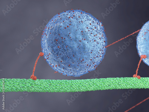 3d rendered illustration of a motor protein photo