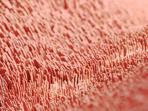 Quadro em tela 3d rendered illustration of human cilia