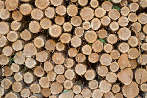 Cut logs stacked  Background.