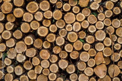 Cut logs stacked  Background.