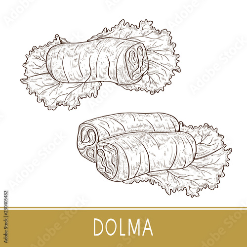 Dolma. Food. Leaf, salad. Sketch. Set. photo