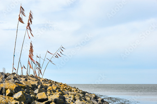 Breakwater or pier with poles and colored rope and plastic waving in the wind on breakwater or pier in the Wadden Sea near the entrance to the port of Harlingen The Netherlands with copy space