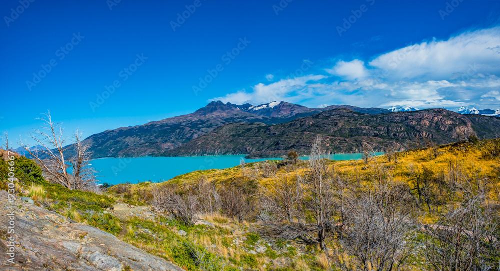 Panoramic view of Torres del Paine National Park, its forests, lagoon and glaciers at Autumn, Patagonia, Chile, sunny day, blue sky