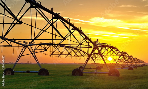 Photos irrigation of a field in sunset