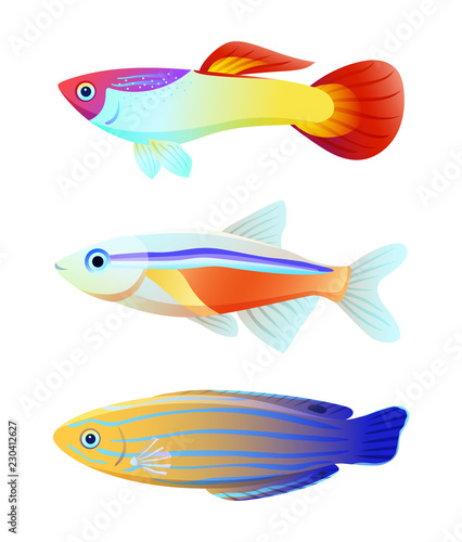 Aquarium fish silhouette isolated on white icons