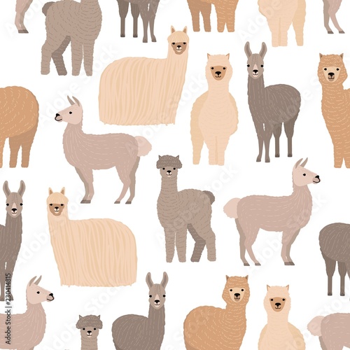 Seamless pattern with cute llamas and alpacas on white background. Backdrop with funny wild wooly domestic animals. Colorful vector illustration in flat cartoon style for fabric print, wallpaper.