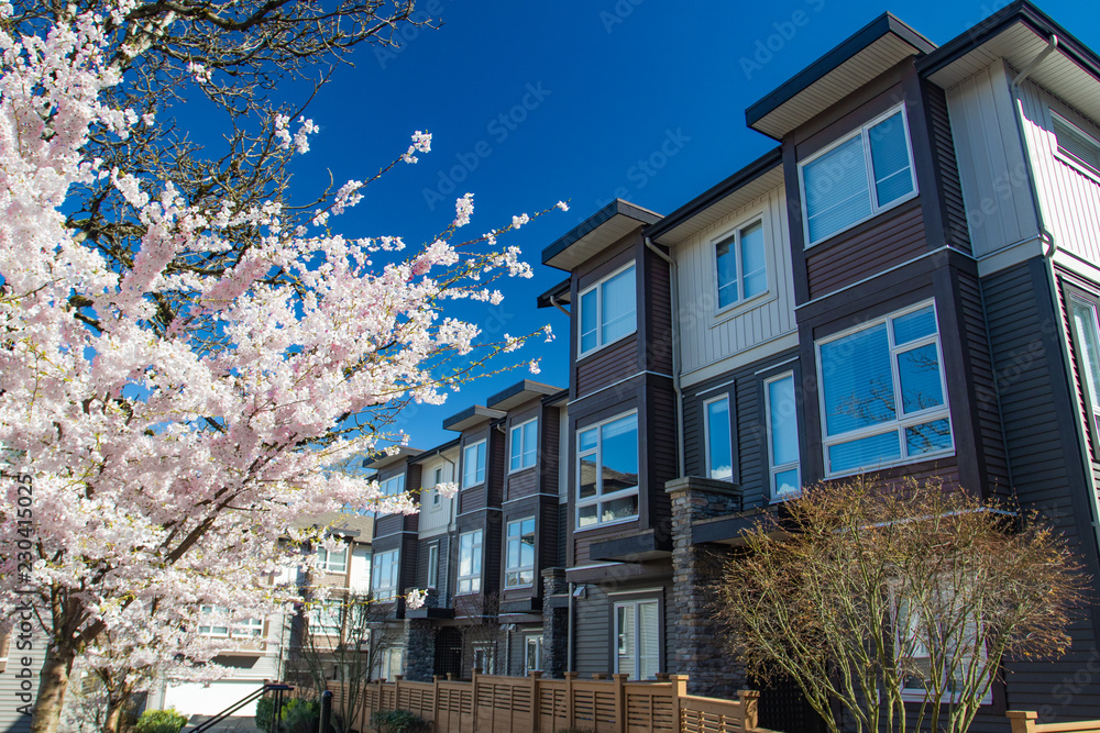Obraz premium Modern low rise wood frame complex. On sunny day in spring with blooming sakura trees.