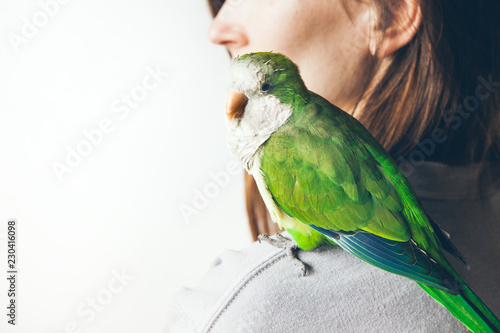 Close-up of green colorful Monk Parakeet. Green Quaker parrot is sitting on woman shoulder and is looking at camera. Selective focus