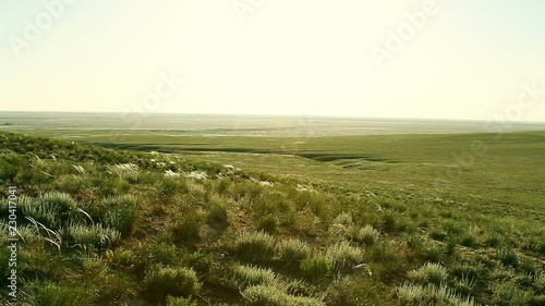 green steppe at sunny day