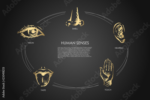 Human senses - vision, taste, touch, hearing, smell vector concept set photo