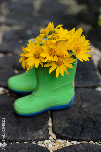 yellow flowers in green rubber boots