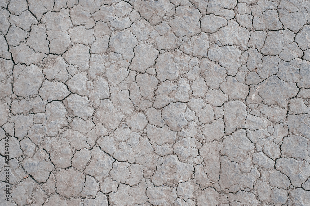 Grey dried and cracked ground earth background. Close up of dry ground, cracked texture. Grey dried and cracked ground earth background. Close up of dry ground, cracked texture.