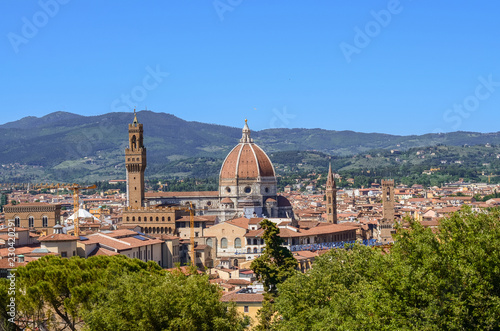 Cathedral of Saint Mary of the Flower seen from Bardini Gardens