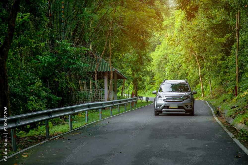A car on a road full of green trees beside the road