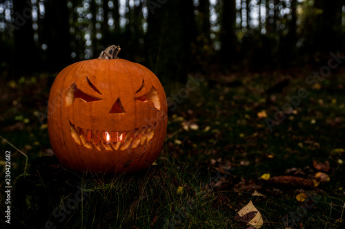 scary halloween pumpkin in the forest
