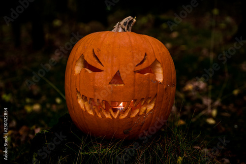 scary halloween pumpkin in the forest
