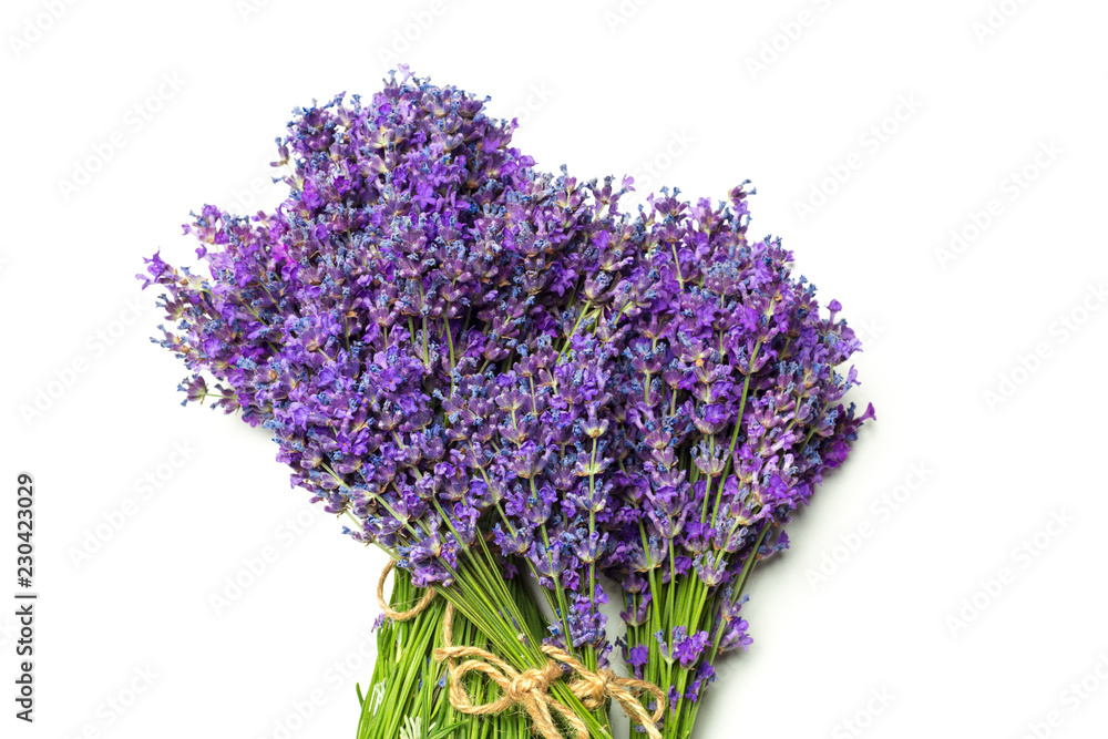 Fototapeta premium Lavender flowers on white background