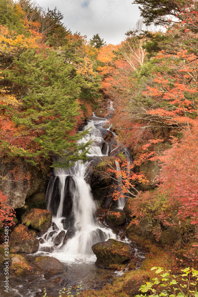 Autumnal leaves and Ryuzu Falls - Fall of Japan